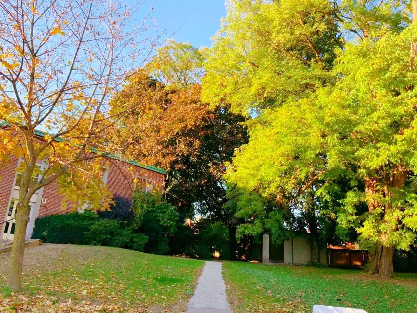 Leaside Garden Guesthouse تورونتو المظهر الخارجي الصورة